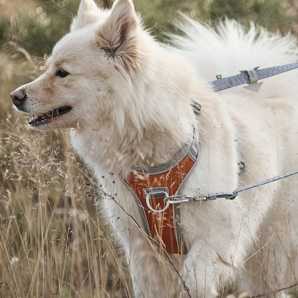 Venture No-Pull Harness product image