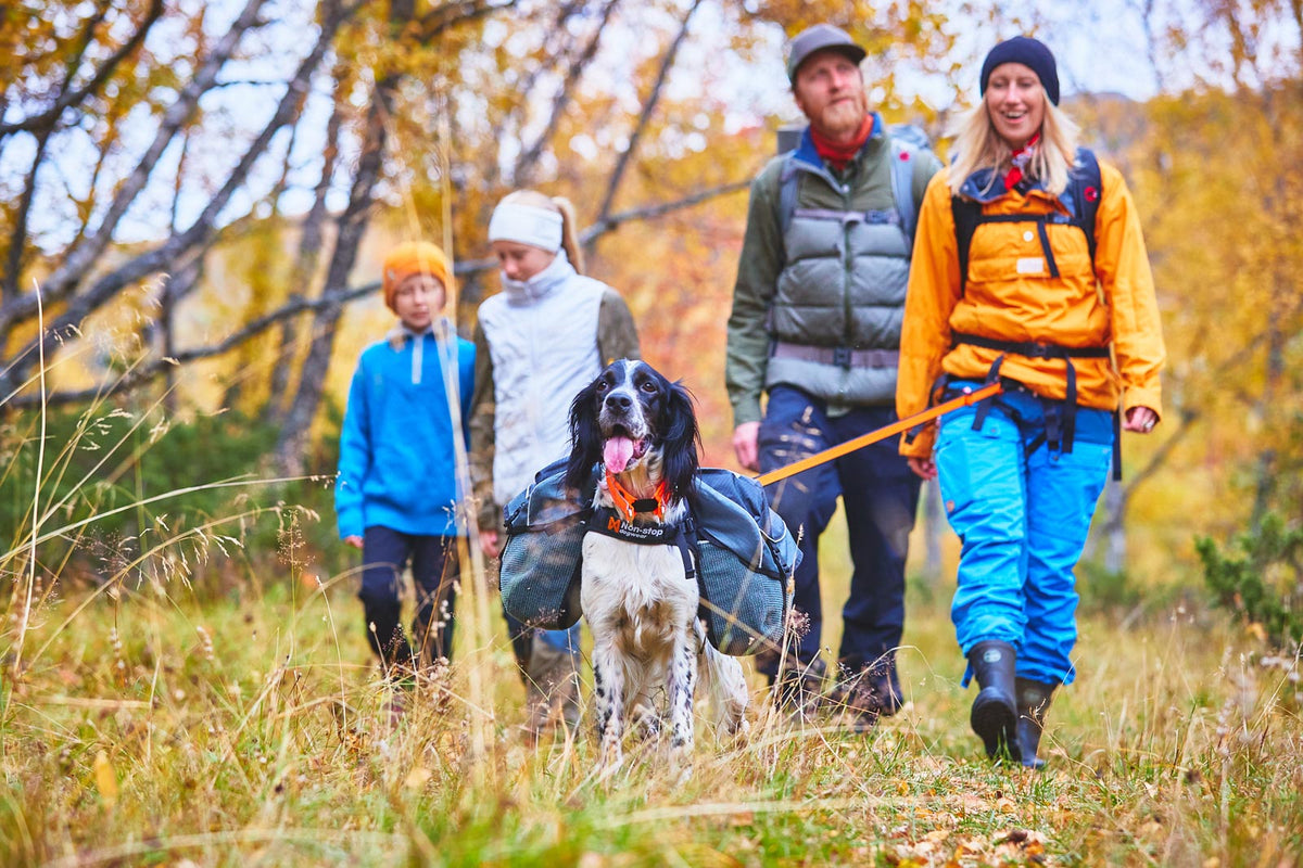 Amundsen pack product image