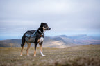 Amundsen pack product image
