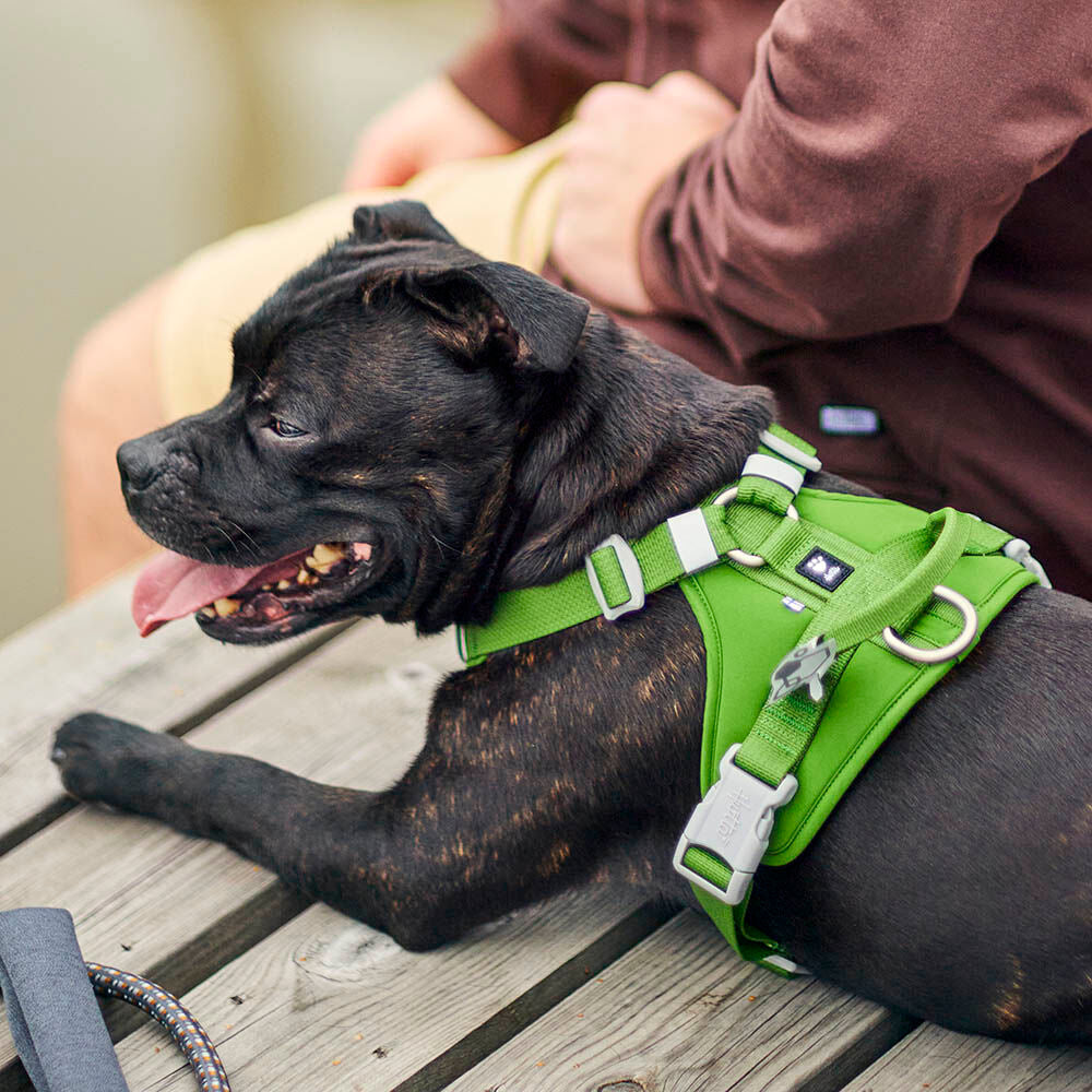 Weekend Warrior Harness II ECO product image