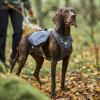Expedition Pack product image