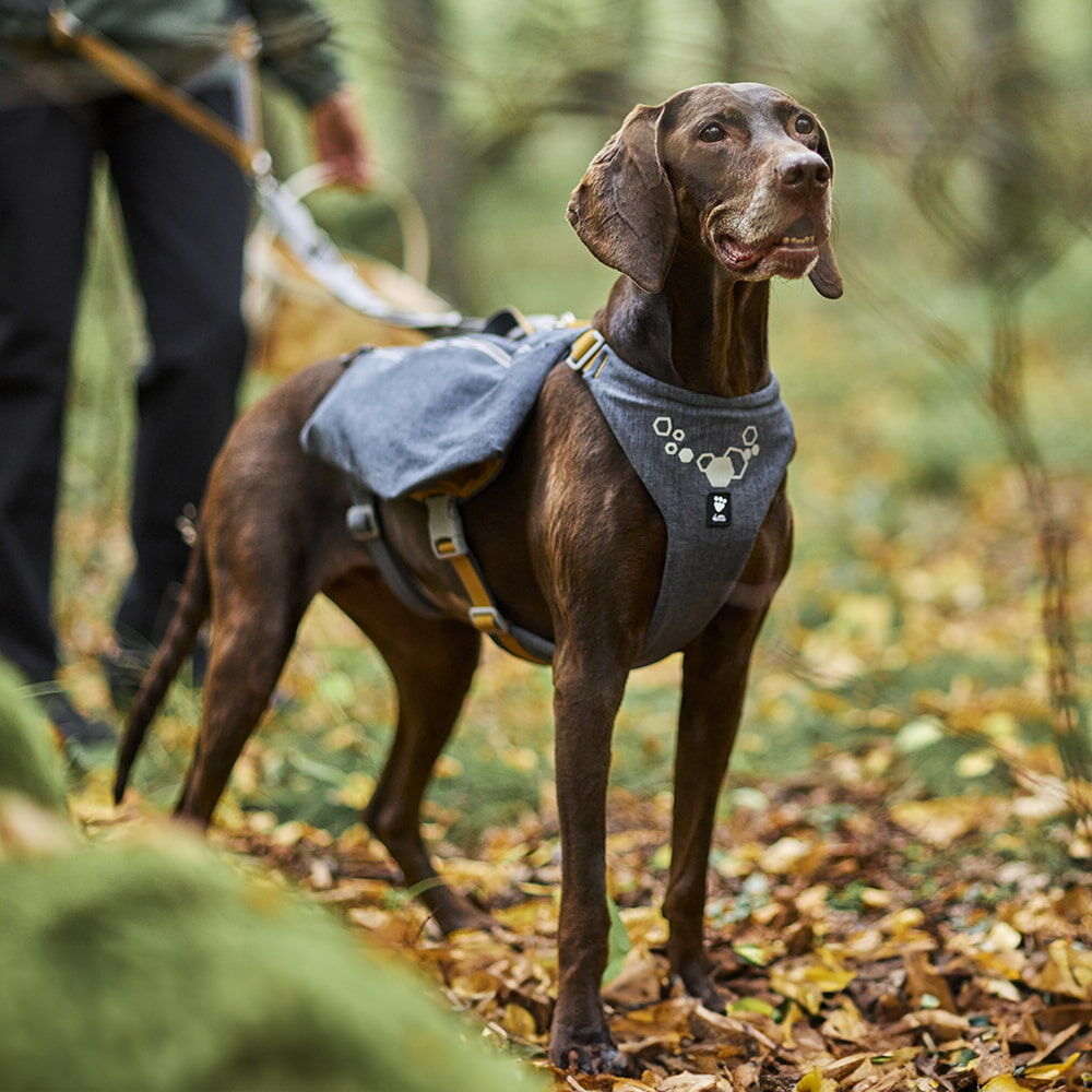 Expedition Pack product image