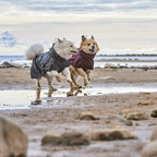 Mudventure Dog Coat ECO product image