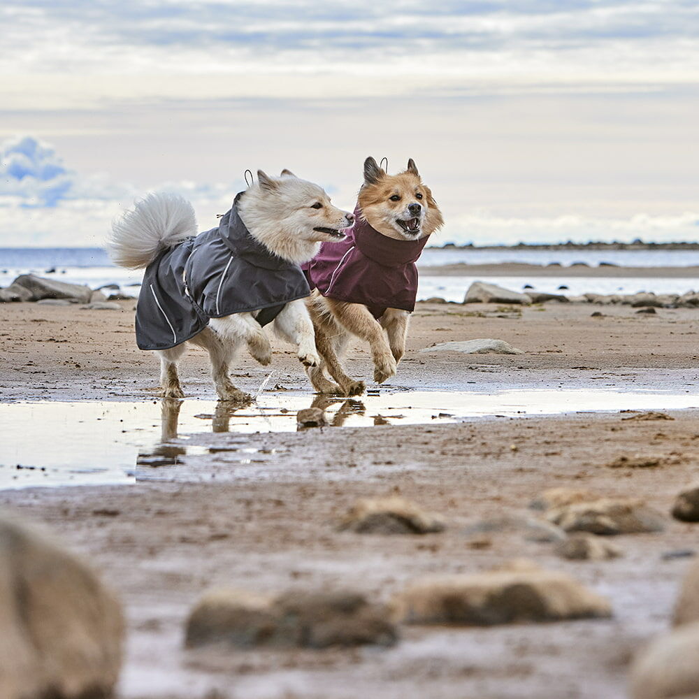 Mudventure Dog Coat ECO product image