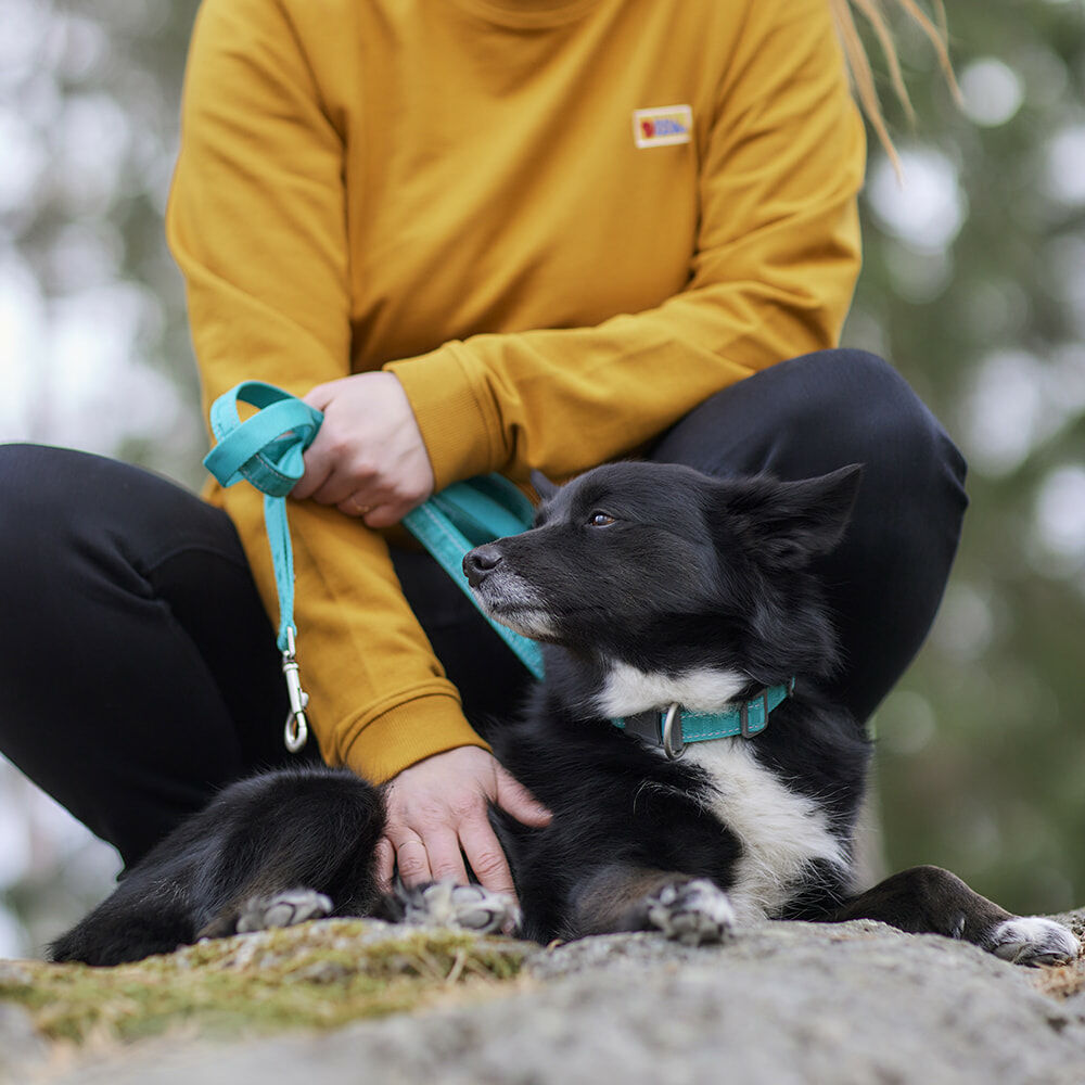 Casual Reflective Leash ECO product image