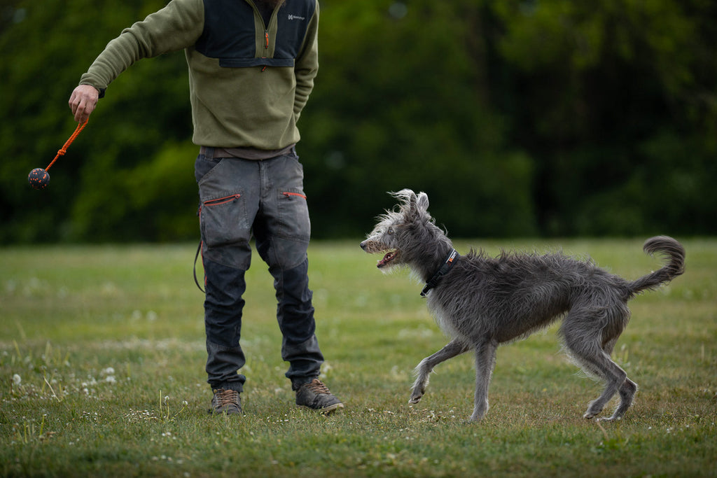 Dog ball on rope product image