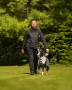 Dog ball product image