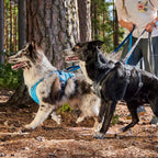 Multilong Leash II product image