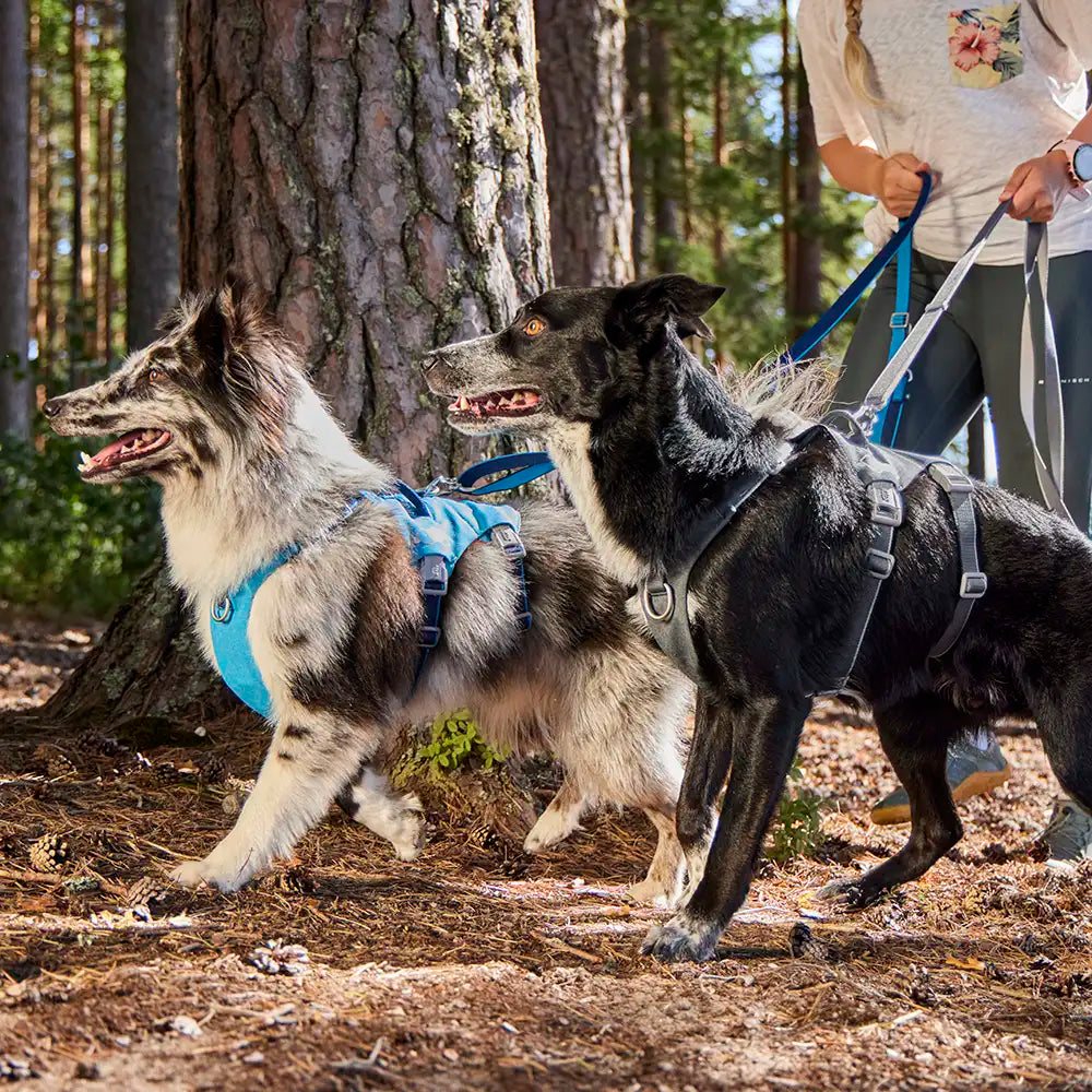 Multilong Leash II product image