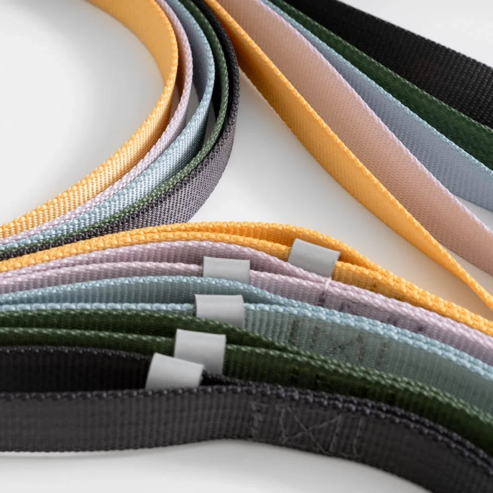 Seeker Standard Leash product image