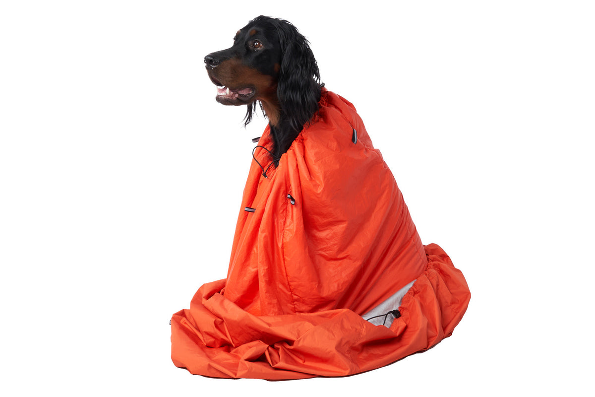 Protector bivvy bag product image