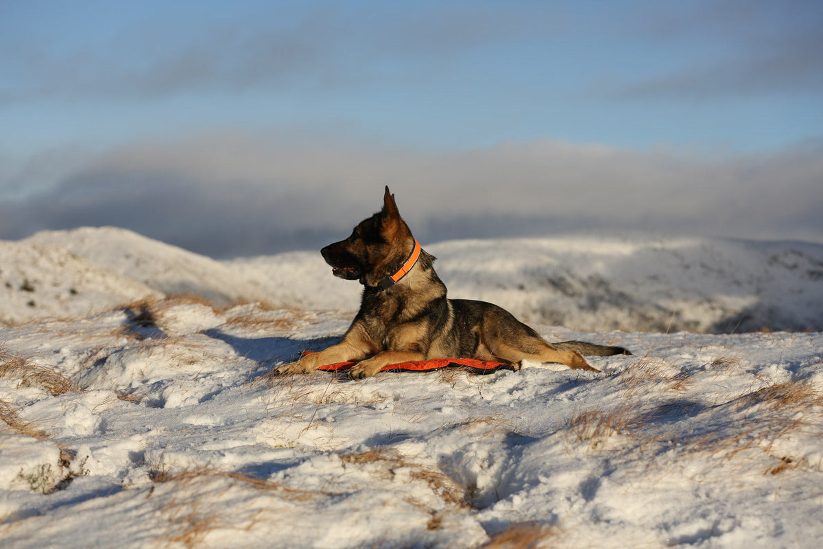 Protector bivvy bed product image