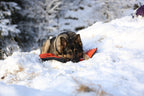 Protector bivvy bed product image