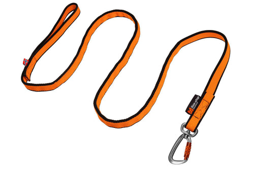 Bungee leash product image