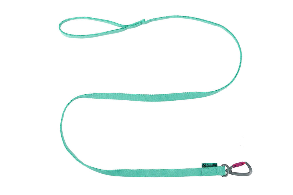 Bungee leash product image