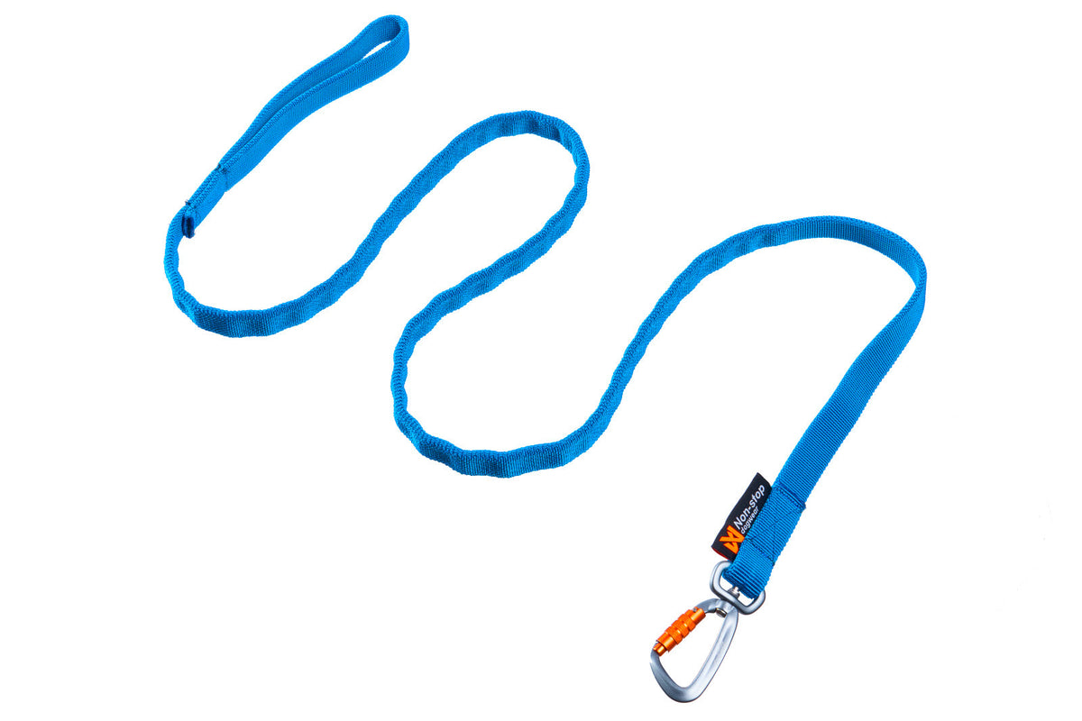 Bungee leash product image