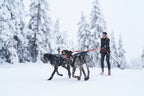 Bungee leash double product image