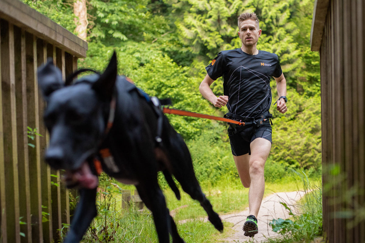 Bungee leash product image