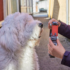 Rover Collar product image