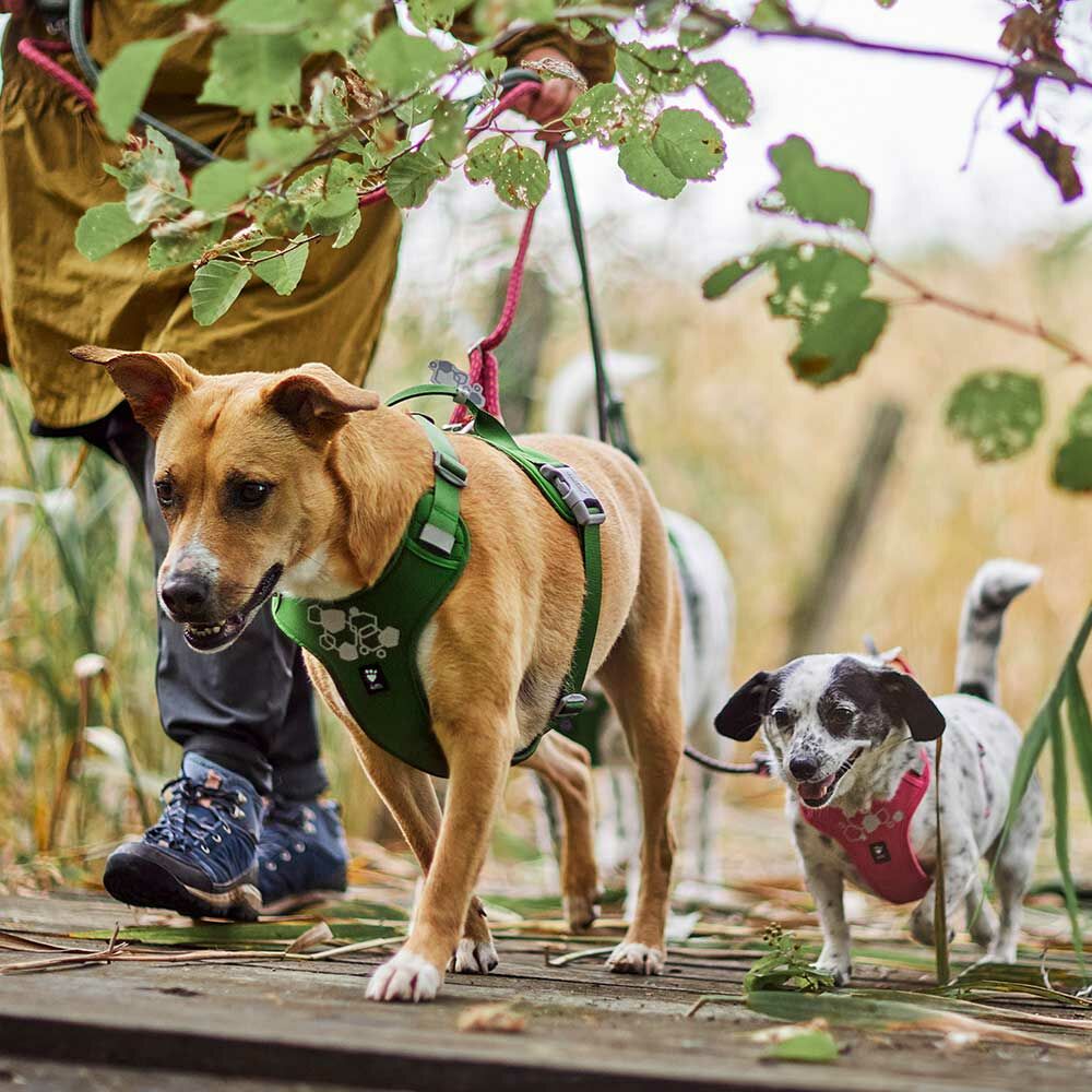 Weekend Warrior Harness II ECO product image