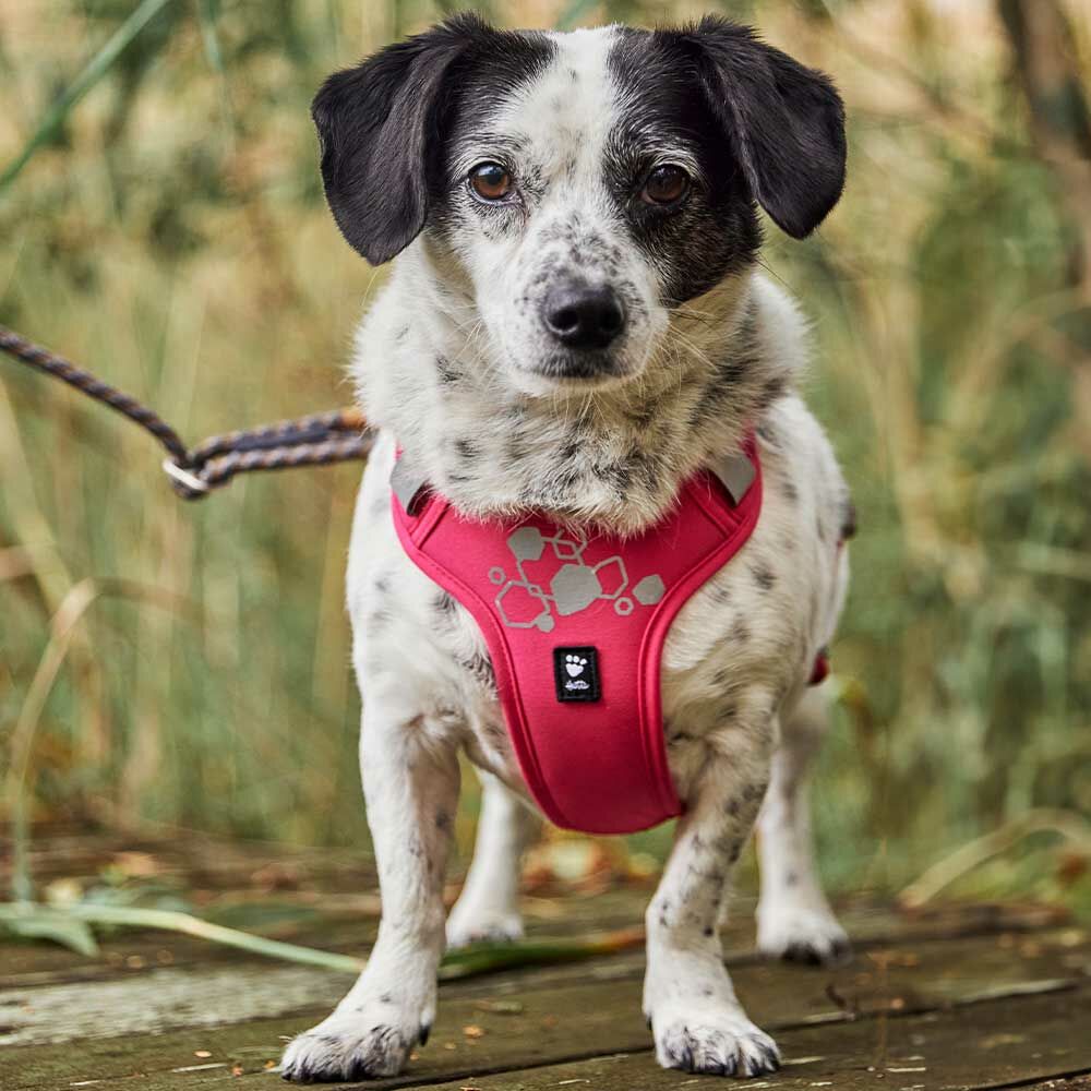 Weekend Warrior Harness II ECO product image