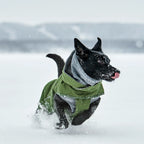 Walk All-Season Jacket product image