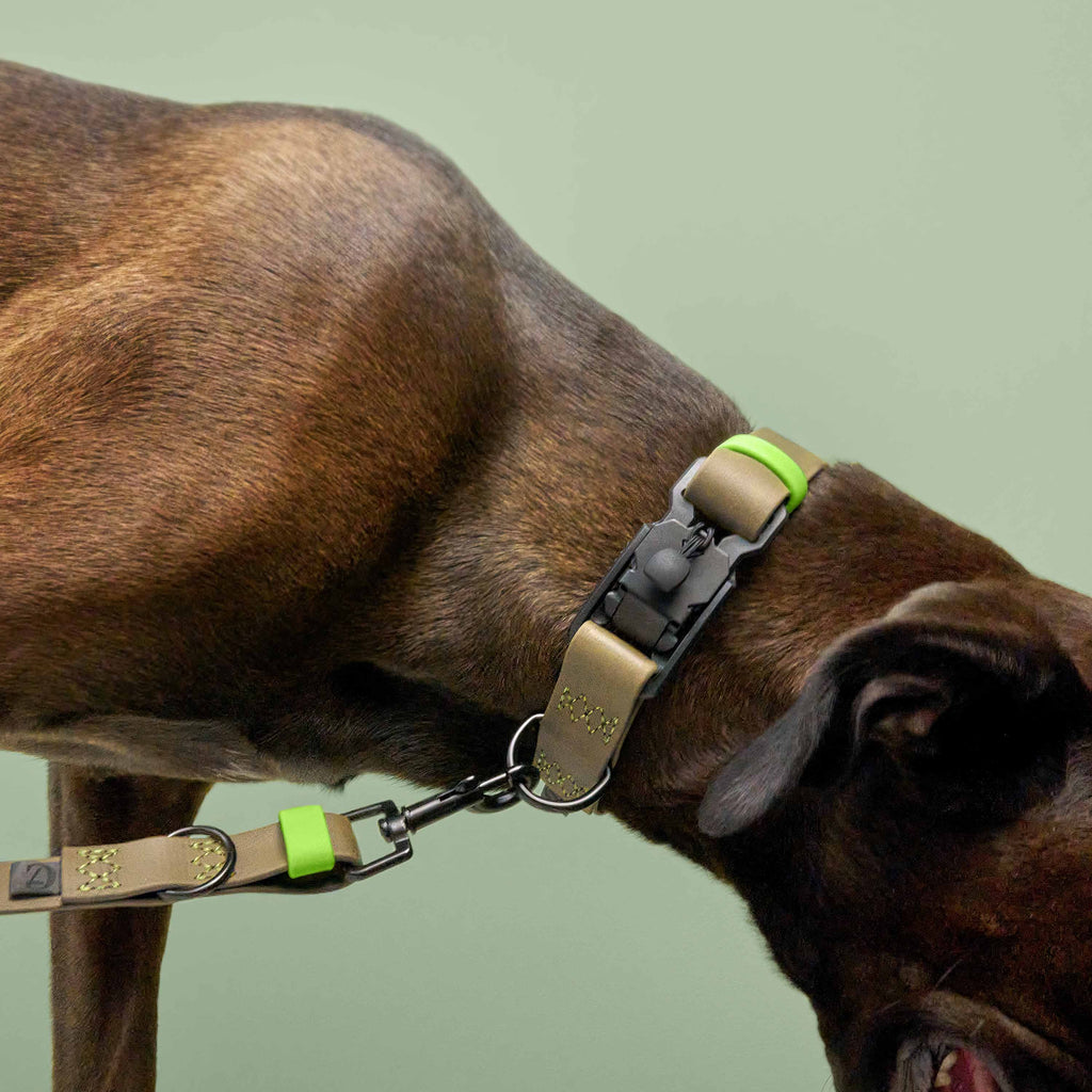 Adjustable Dog Leash BioThane Ipanema Olive-Neon Green product image