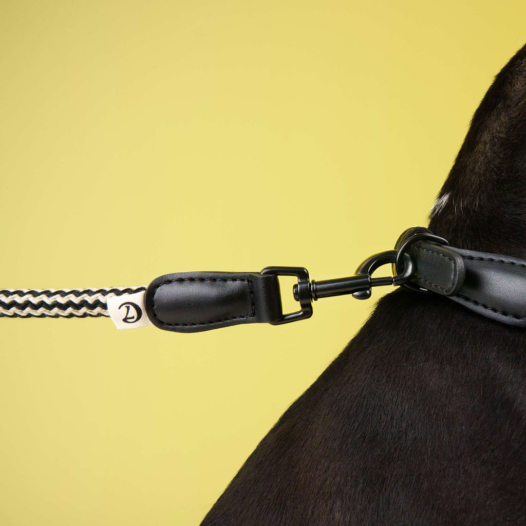 Dog Leash Mauerpark Zigzag Black product image
