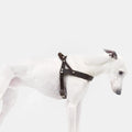 Harness Central Park Saddle Brown Silver product image