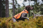 Camo cover product image