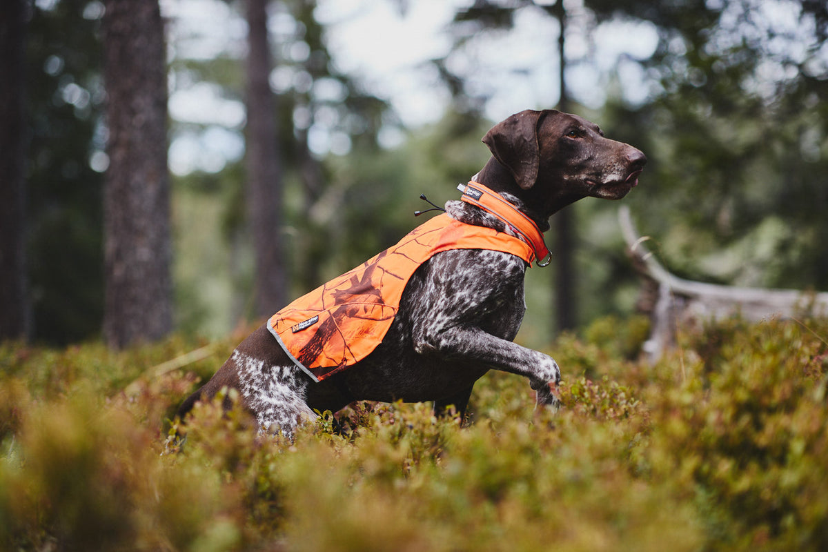 Camo cover product image