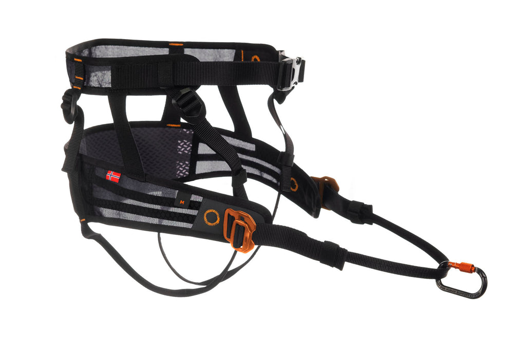 CaniX belt product image