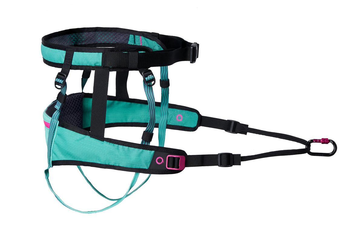 CaniX belt 2.0 product image