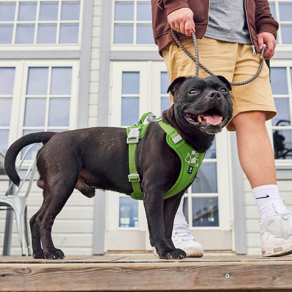 Weekend Warrior Harness II ECO product image