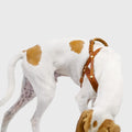 Dog Harness Central Park Camel Gold product image