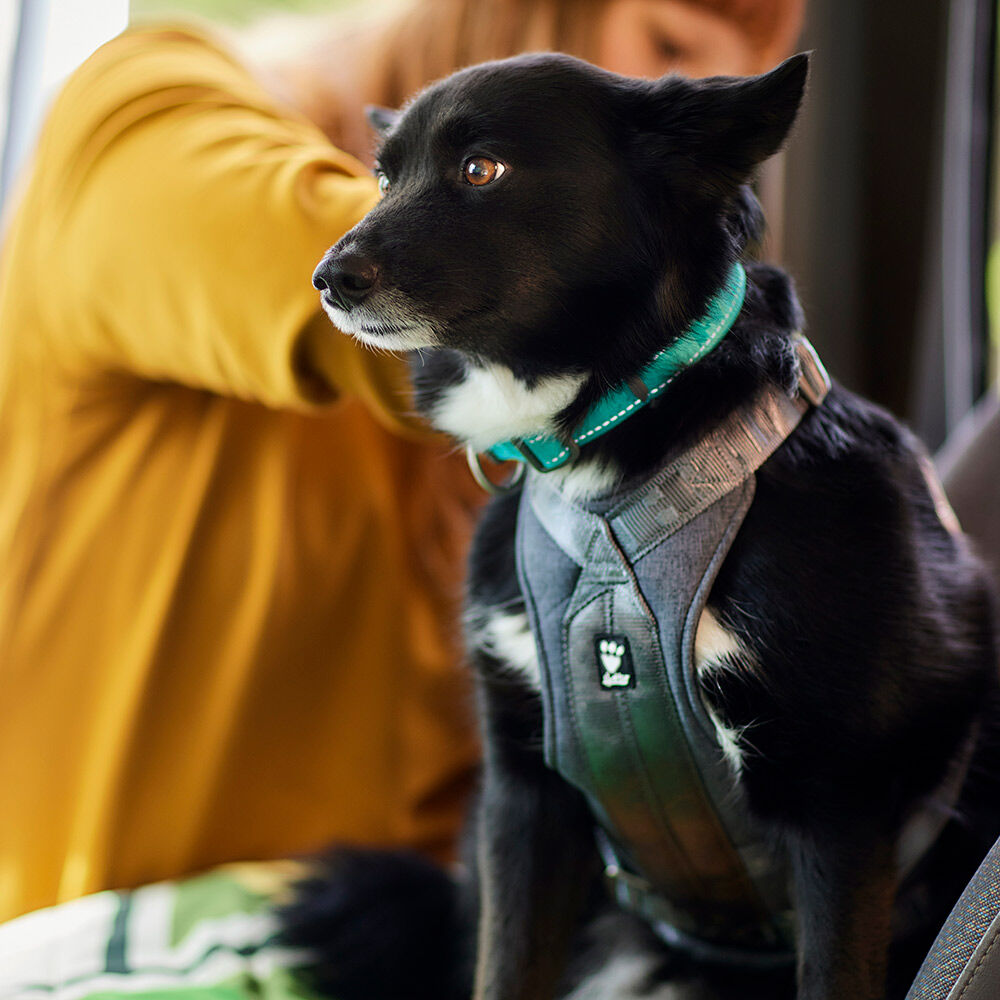 Travel Harness ECO product image