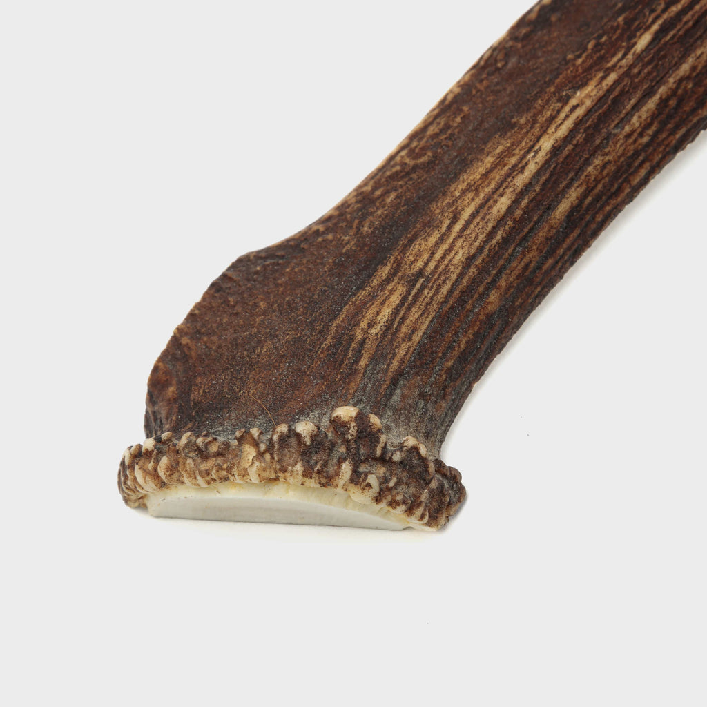 Natural Whole Antler Chew product image