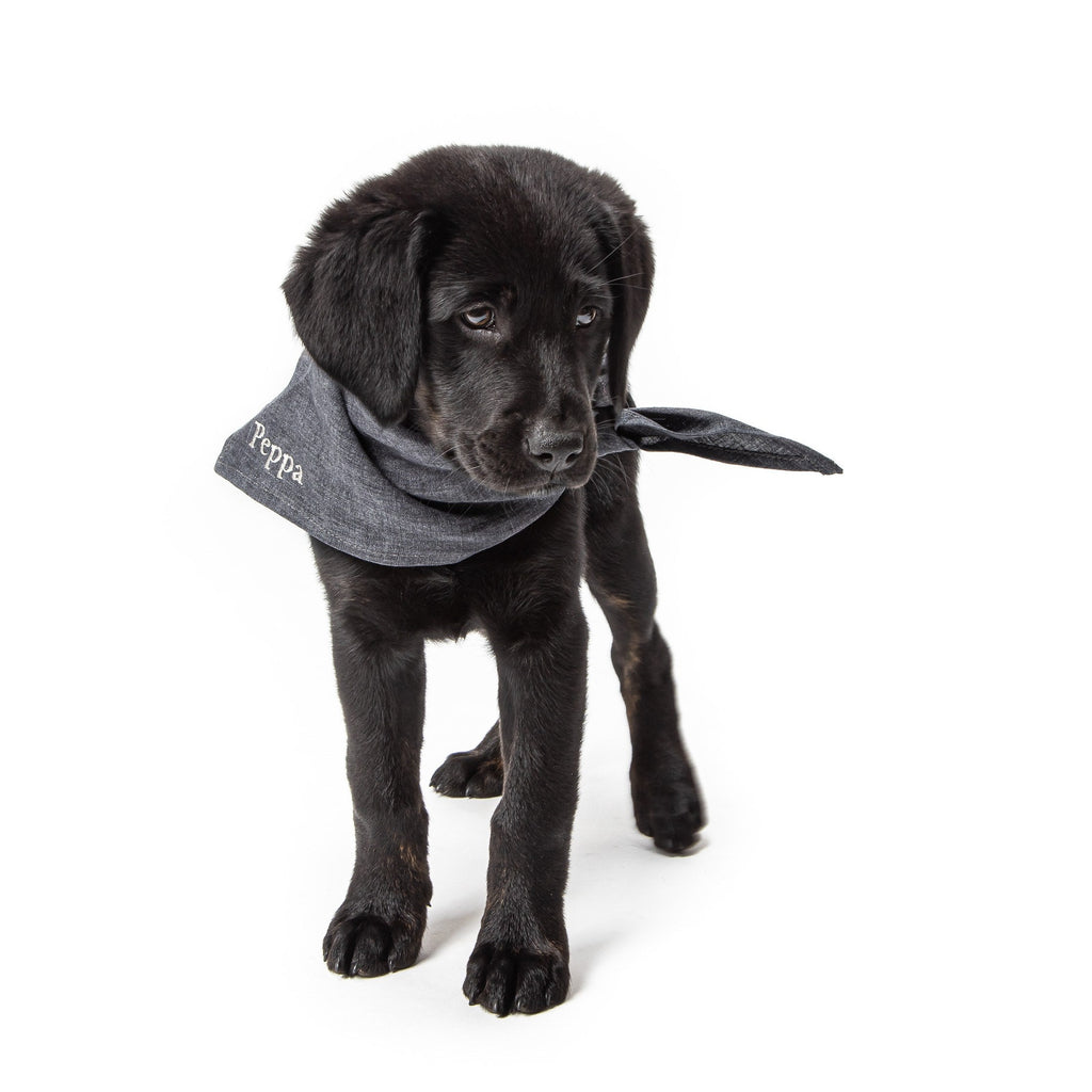 Personalized Dog Bandana Indigo product image