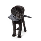 Personalized Dog Bandana Indigo product image