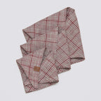Dog Bandana Check Red - Light Green product image
