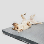 Dog Bed Siesta Tweed Grey product image