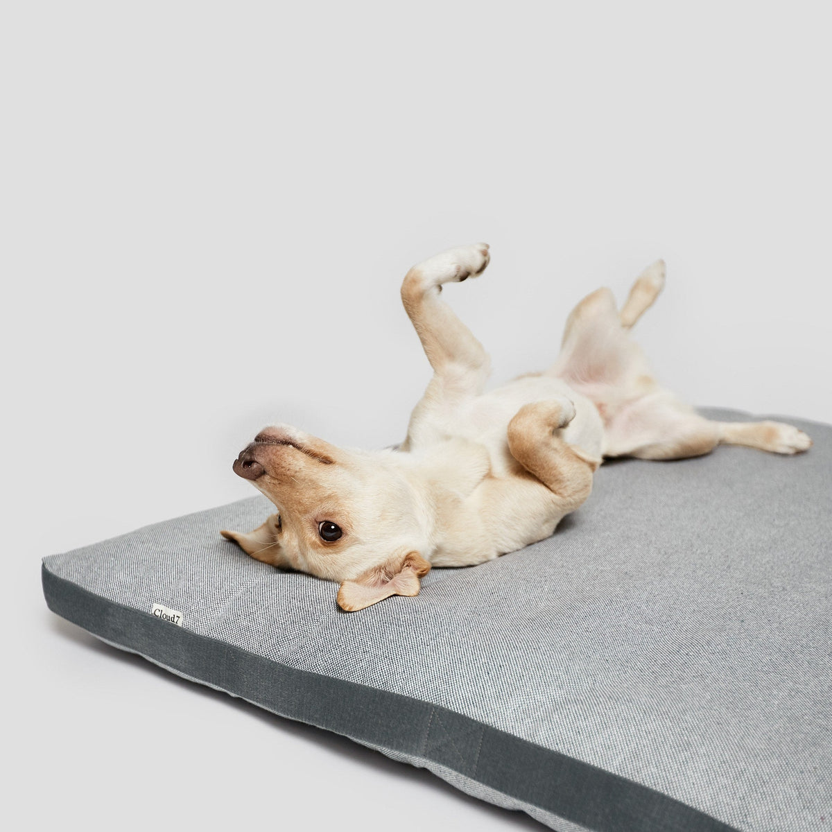 Dog Bed Siesta Tweed Grey product image