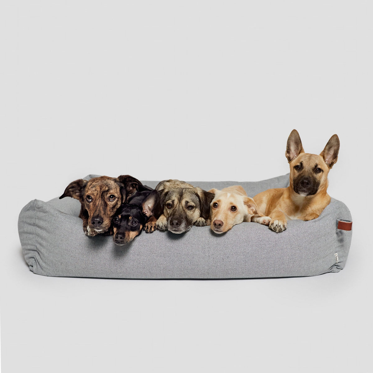 Dog Bed Sleepy Deluxe Tweed Grey product image