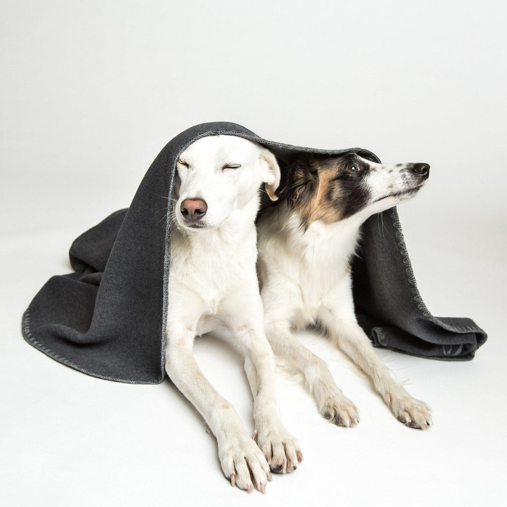Dog Blanket Fleece Dark Grey product image