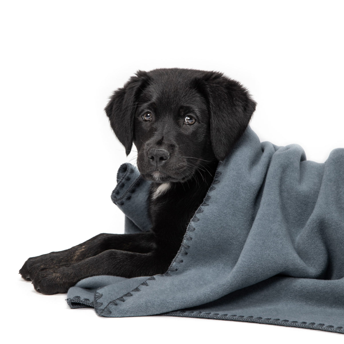 Dog Blanket Soft Fleece Dove Blue product image
