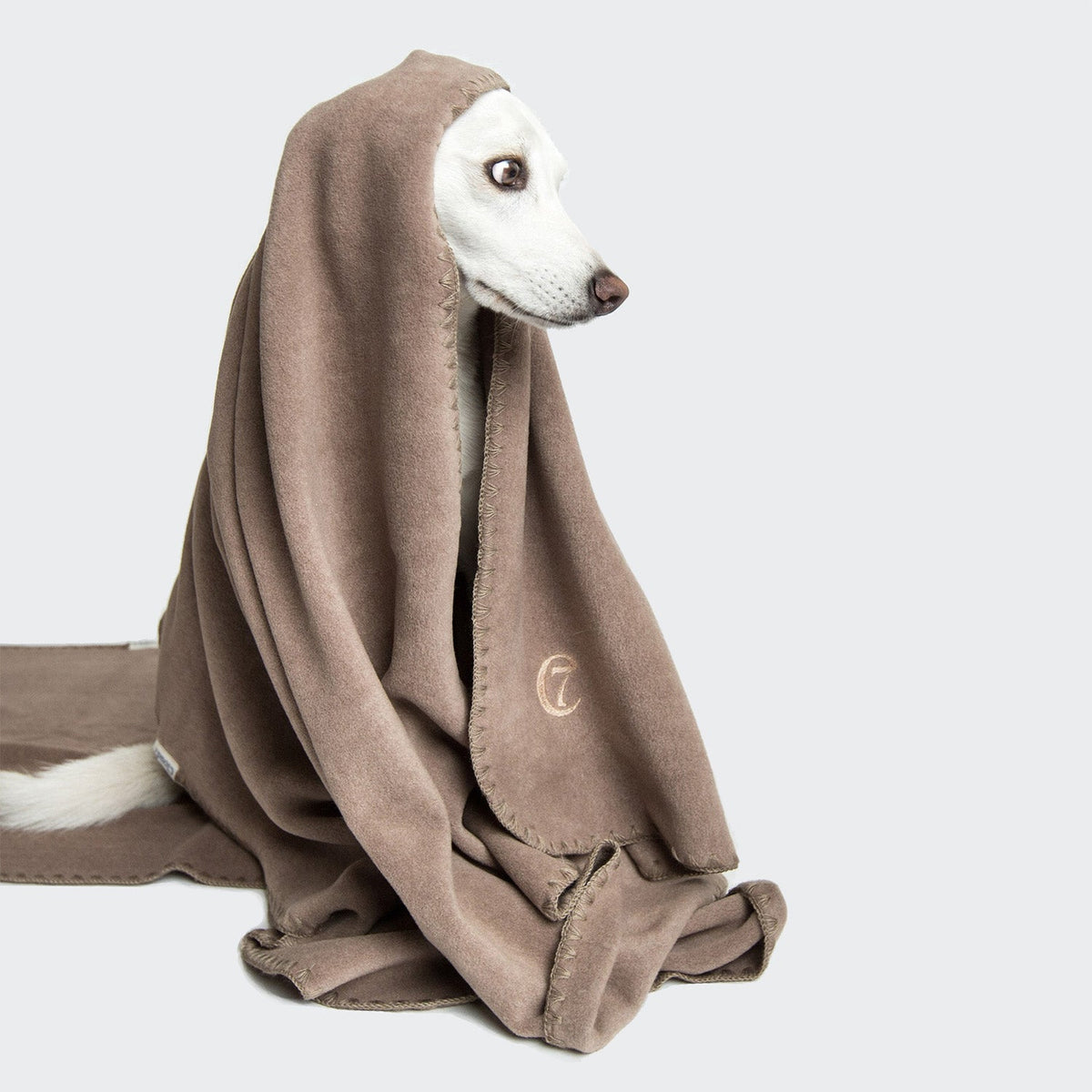 Dog Blanket Fleece Sand product image