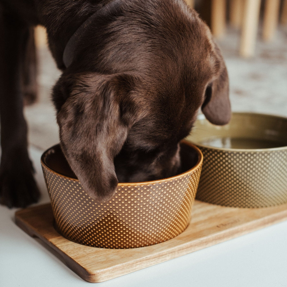 Dog Bowl Alain Cinnamon product image