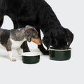 Dog Bowl Granny Dark Green product image