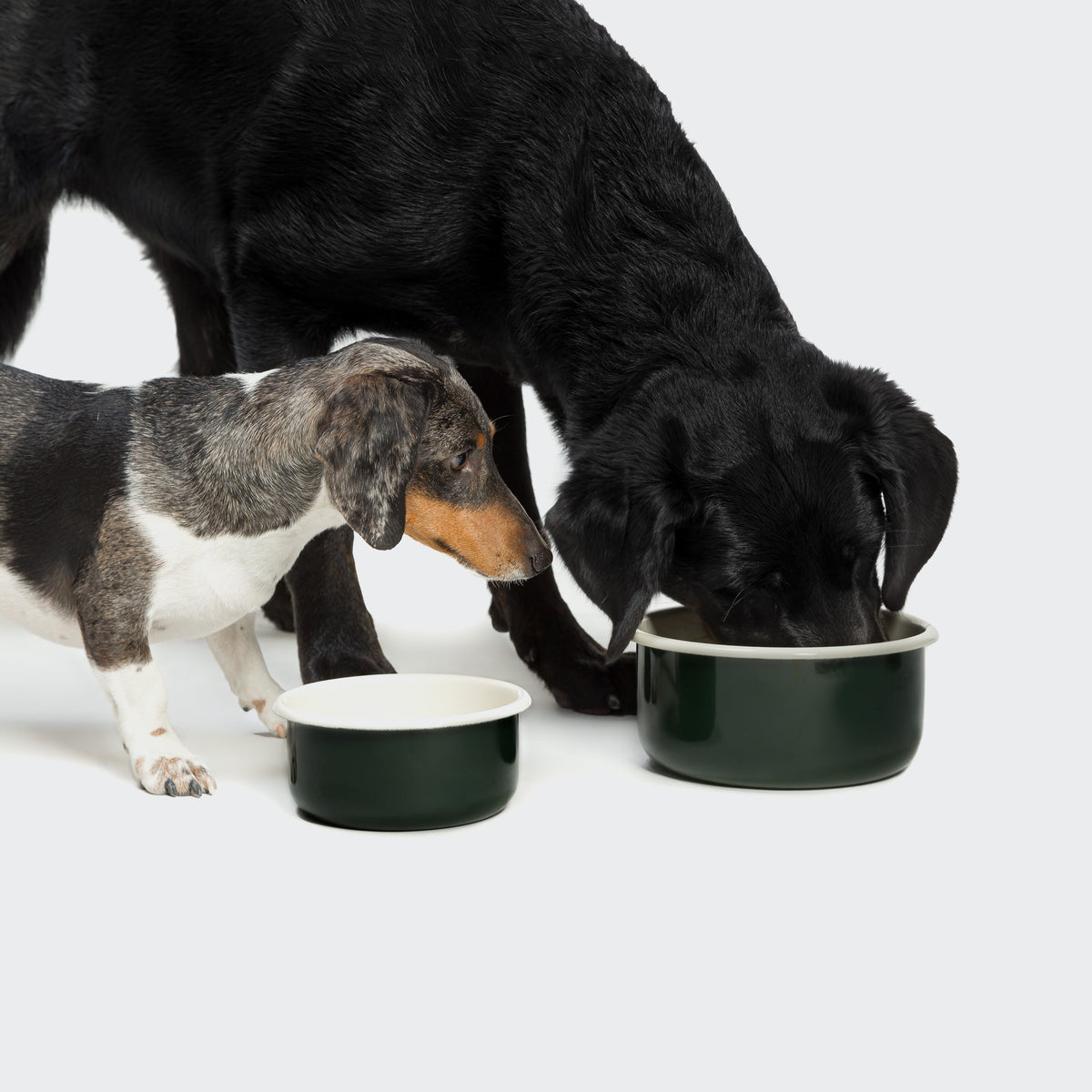 Dog Bowl Granny Dark Green product image