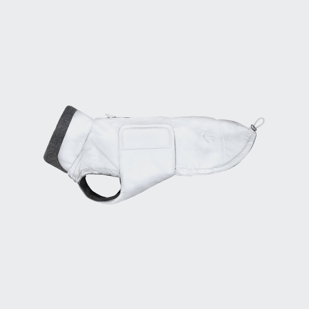 Dachshund Coat Brooklyn Reflective product image
